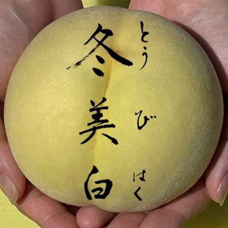 冬美白