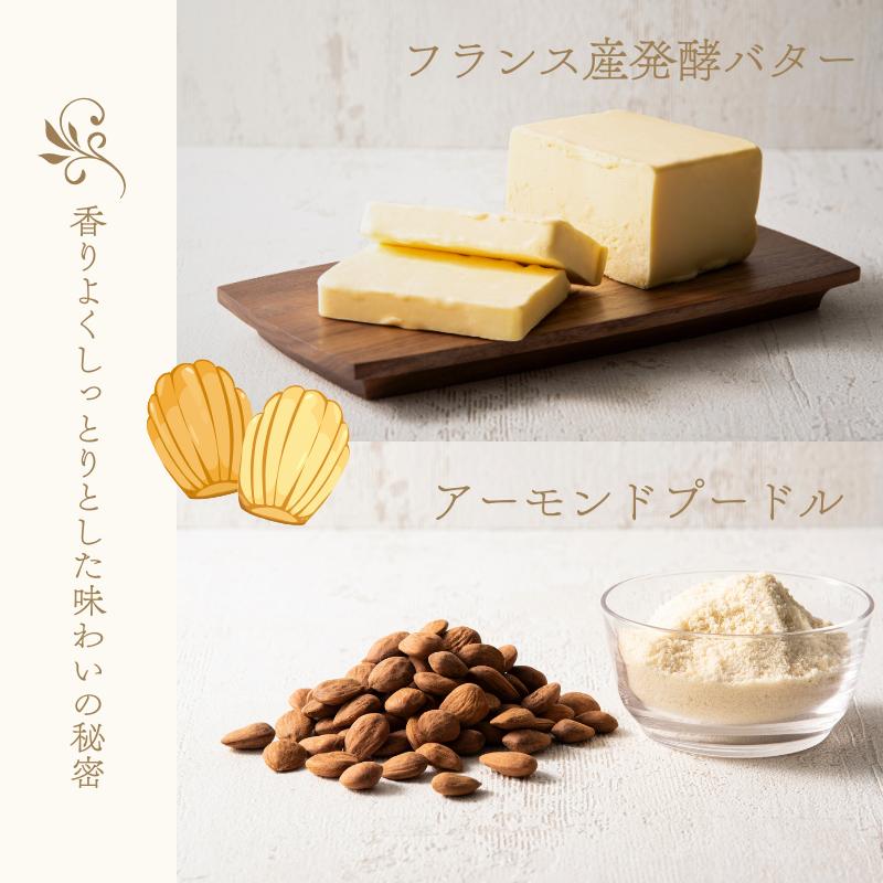 ギフト 焼き菓子詰め合わせ 発酵バターのマドレーヌ・フィナンシェ 10