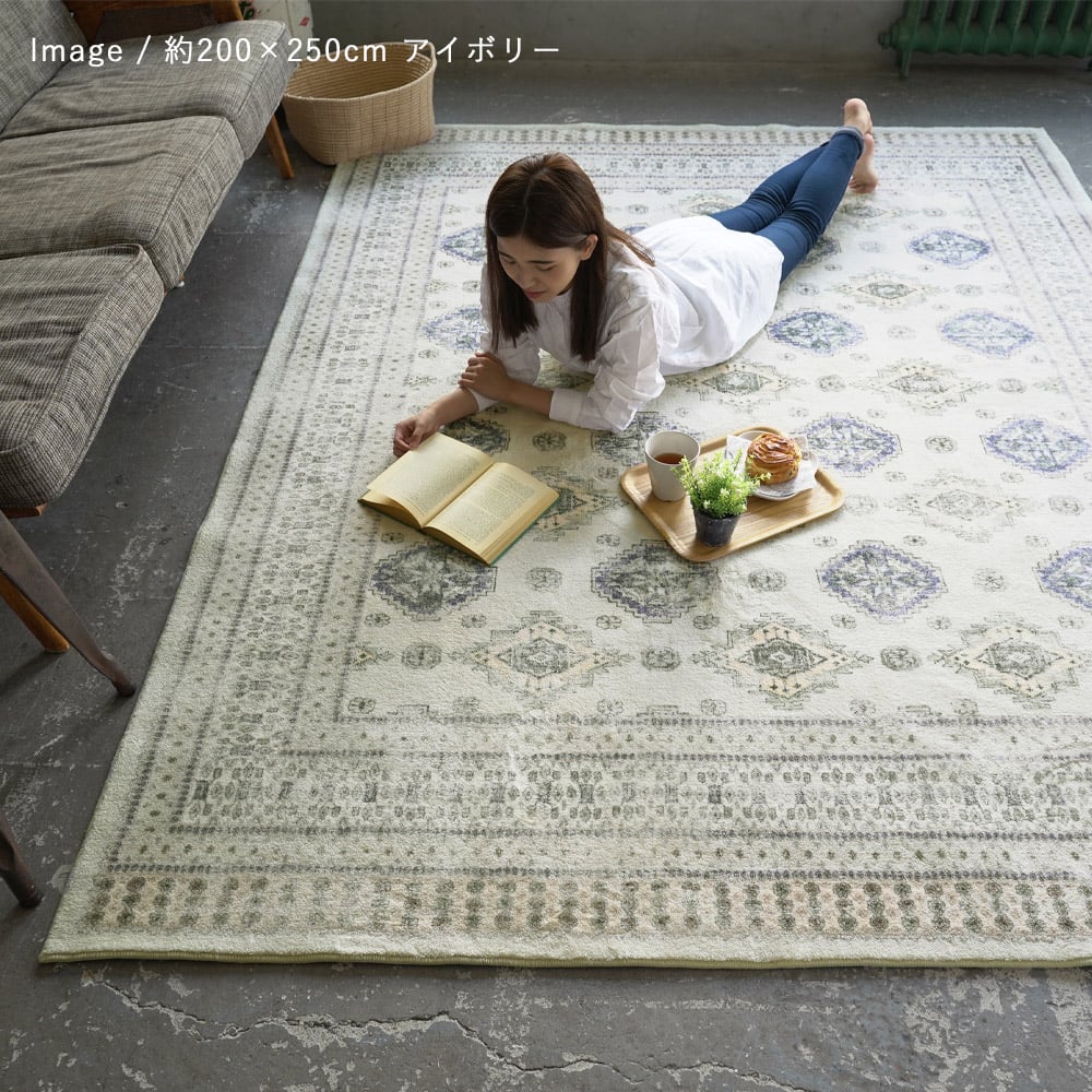 マイクロプリントパイルラグ 140×200cm ディクトム DICTUM DM