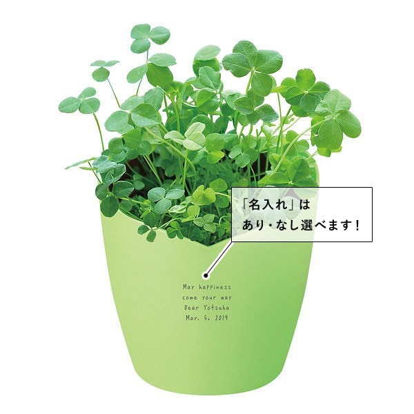 名入れ ラッキークローバーセット : giftgiftgift ギフトギフトギフト