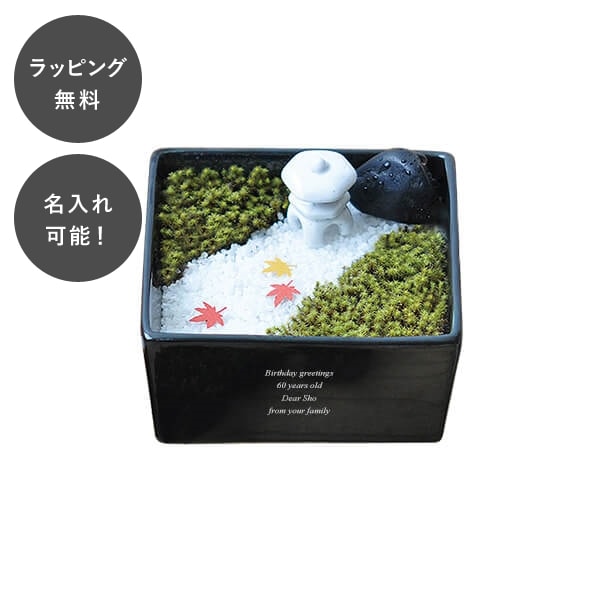 名入れ 苔箱庭キット