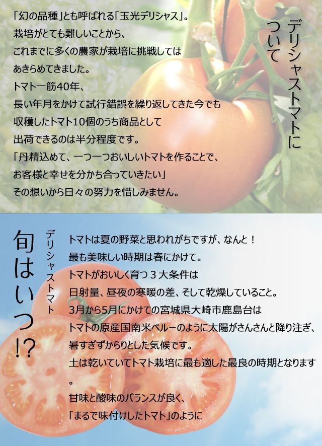 埼玉県産イオン農場 まるまる赤トマト 1kg(9～12個) Green Beans