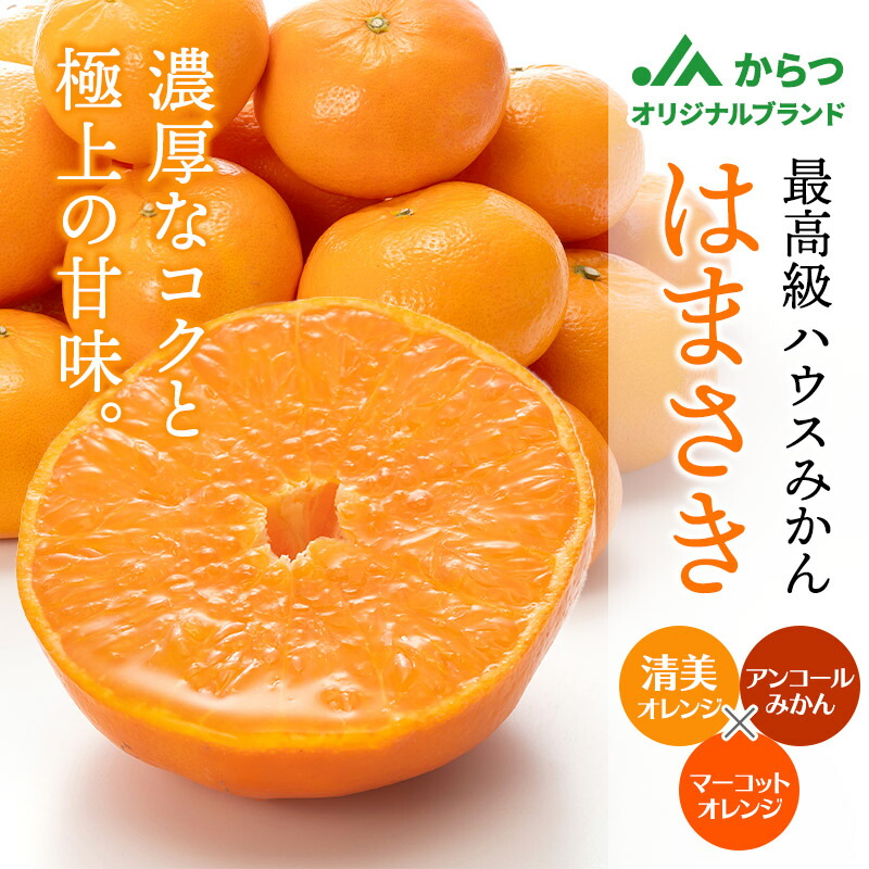 ギフト 缶詰め にっぽんの果実 爽やか柑橘フルーツ3種8個 ギフト