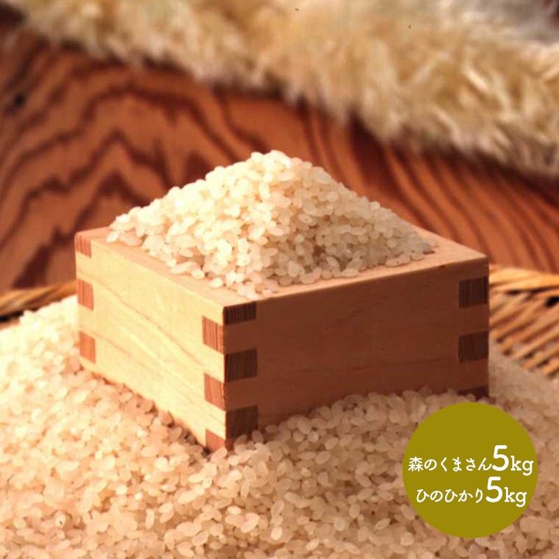 母の日 2024 米 熊本県産 銘柄米 食べ比べセット 5kg×2 森のくまさん