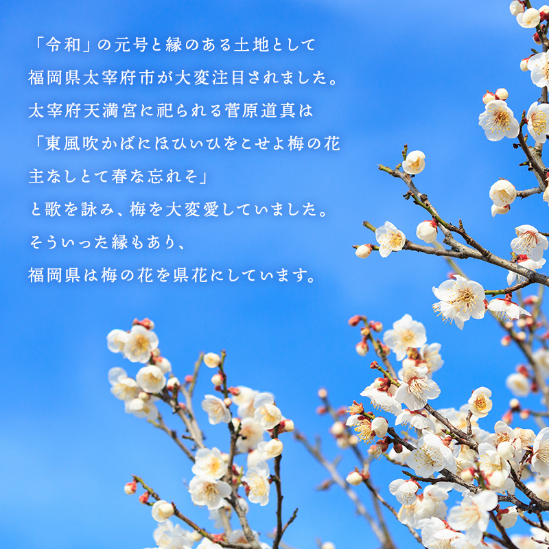 商品画像6