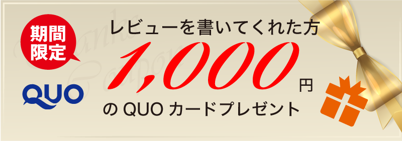 レビュー