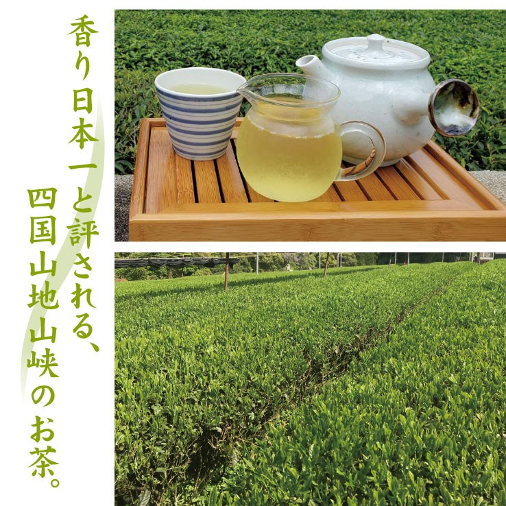 父の日 ギフト 脇製茶「新宮茶」上煎茶・特上玄米茶セット