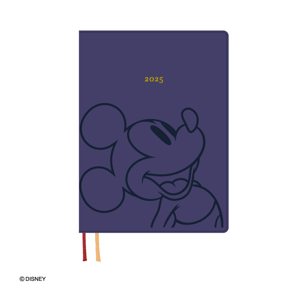 ダイゴー 2024年1月始まり ディズニー Disney Diary B6 ウィークリー