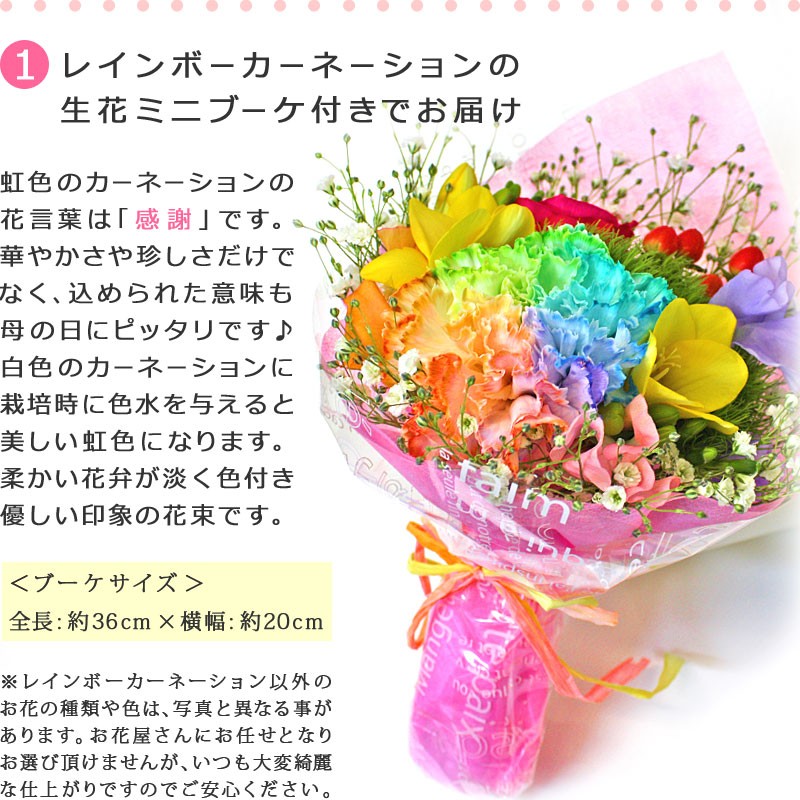 レインボーカーネーションの生花付き果物詰め合わせ