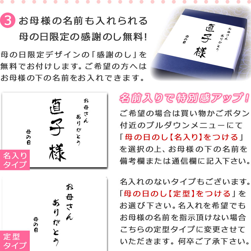 メッセージアップル入りフルーツセット 母の日限定名入れ熨斗つき
