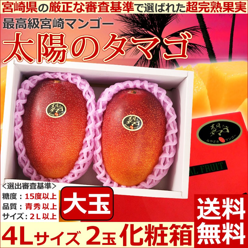 宮崎県産 太陽のタマゴ 4L 1箱2玉入り 1玉約510g以上 クール便発送-