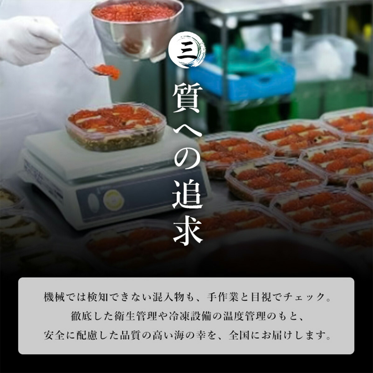 中村家 海宝漬 渚(なぎさ) 150g×2