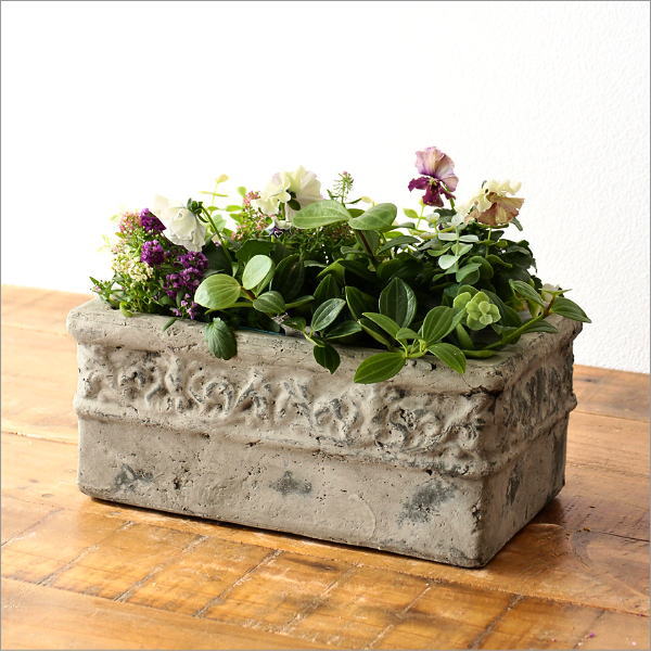 植木鉢 プランター 陶器 おしゃれ アンティーク 寄せ植え 底穴あり