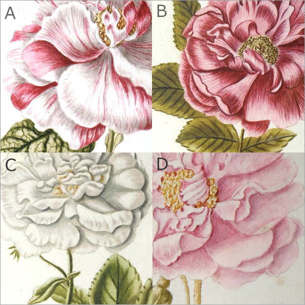 クラシック額装インテリアアート☆薔薇絵画 アートパネル 壁飾り テクスチャー加工 絵画