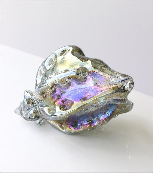 置物 置き物 オブジェ ガラス シェル 貝殻 海 マリン 雑貨
