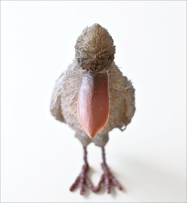 たわし アニマル ハシビロコウ 鳥 置物 オブジェ おしゃれ かわいい
