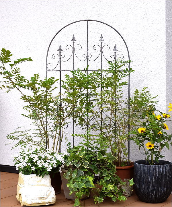 ガーデンフェンス トレリス おしゃれ かわいい 仕切り アイアン