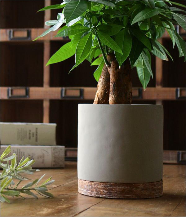 鉢 プランター セメント 丸 おしゃれ 植木鉢 フラワーポット 鉢植え 底