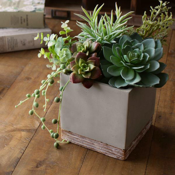 鉢 プランター セメント 四角 おしゃれ 植木鉢 フラワーポット 鉢植え