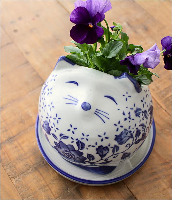 植木鉢 受け皿付き 猫 ふくろう カエル 多肉植物 サボテン 観葉植物