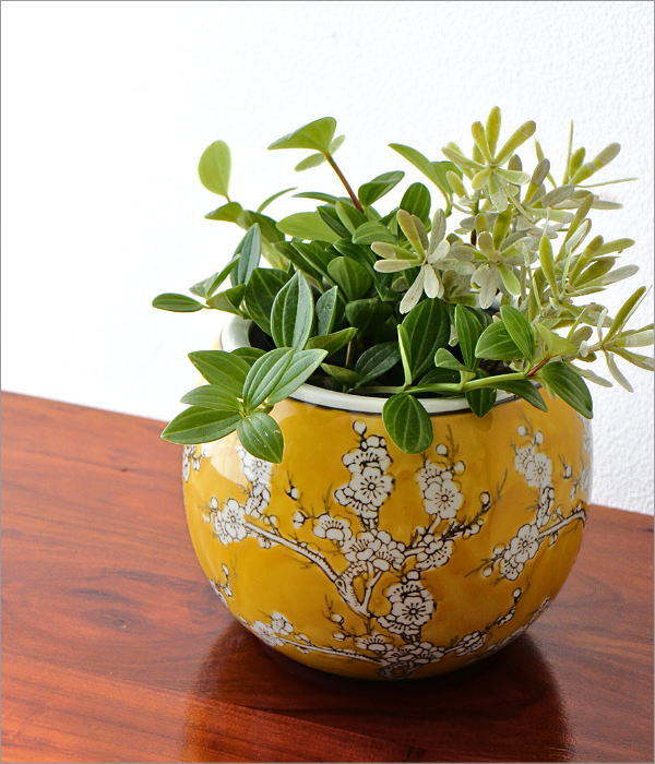 植木鉢 陶器 おしゃれ 和風 丸型 梅柄 火鉢 鉢カバー 穴なし 小型 水鉢