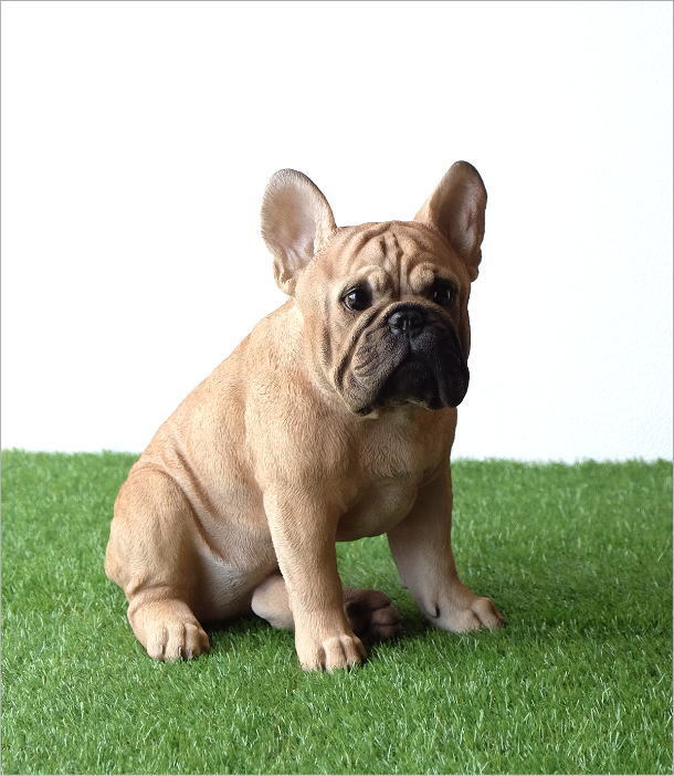 犬 置物 オブジェ フレンチブルドッグ 玄関 エントランス ガーデン