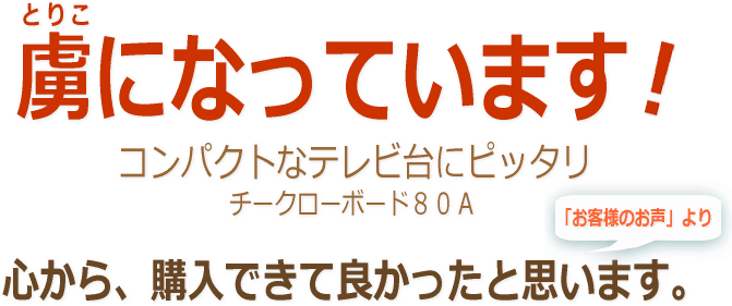 虜になっています!(お客様のお声より) | チークローボード80A