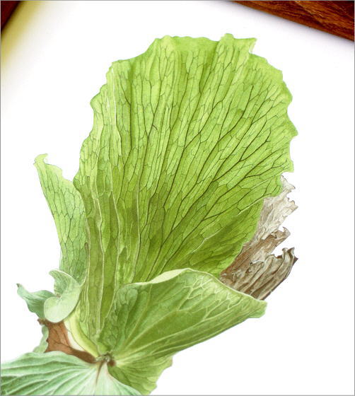 アートパネル おしゃれ A4 アートフレーム ピクチャーフレーム