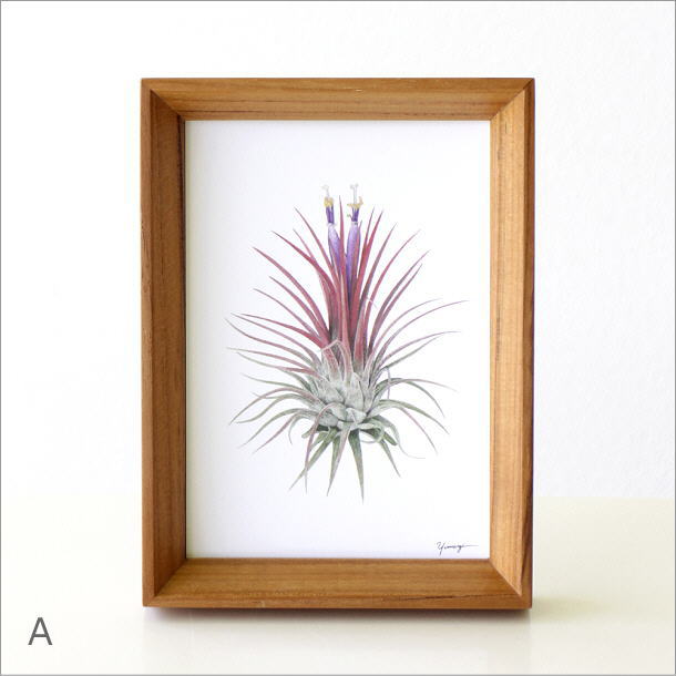 アートパネル おしゃれ ポストカード アートフレーム ピクチャー