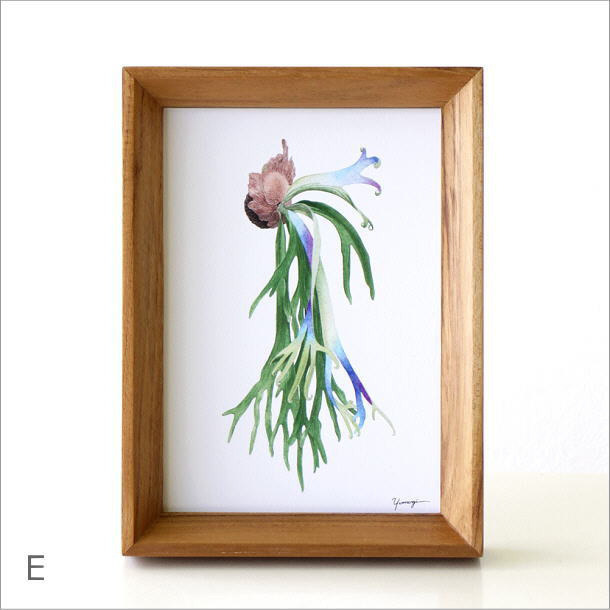 アートパネル おしゃれ ポストカード アートフレーム ピクチャー