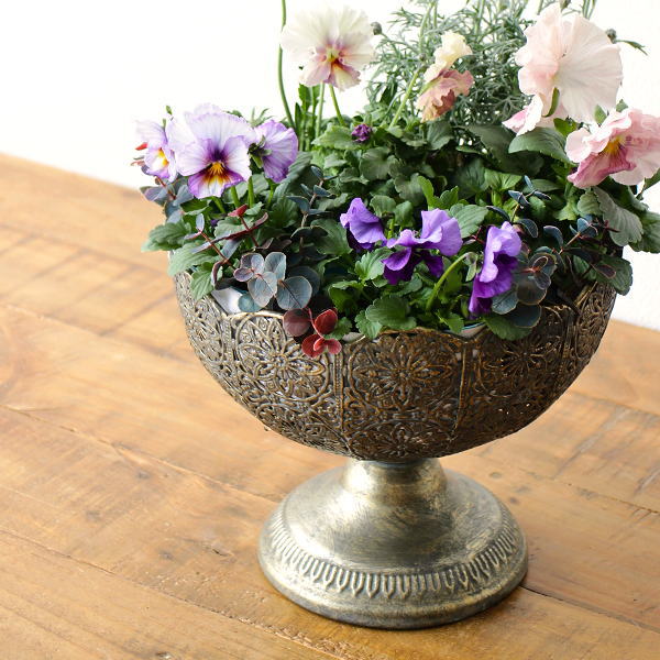 鉢 プランター セメント 長方形 横長 おしゃれ かわいい 植木鉢 鉢植え