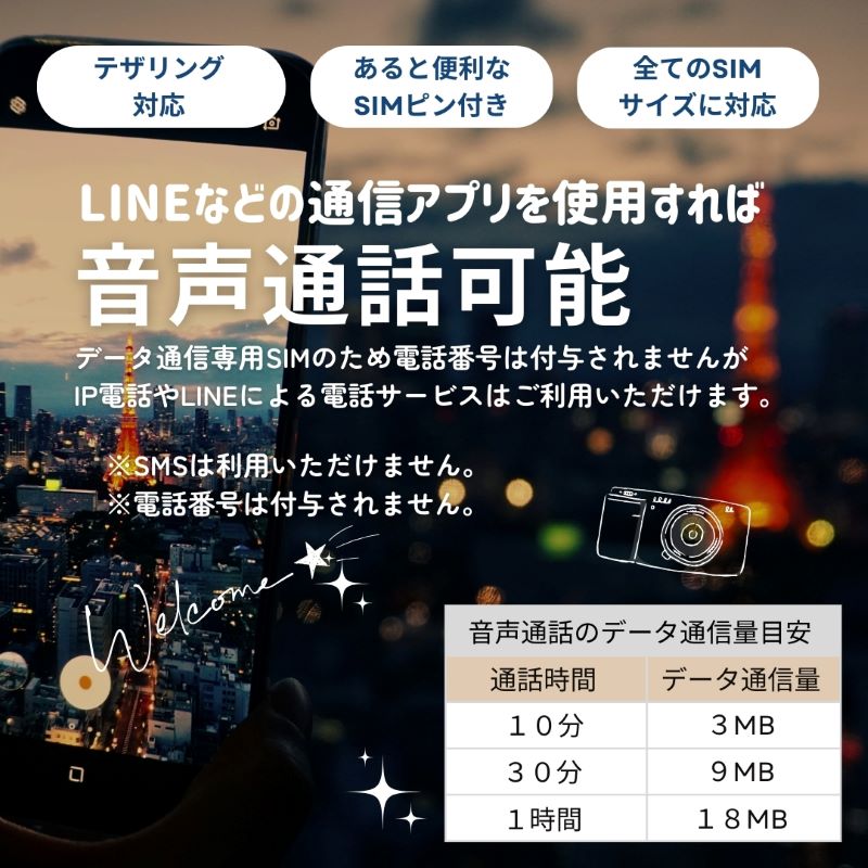 simカード SIM SIＭピン 説明書 案内