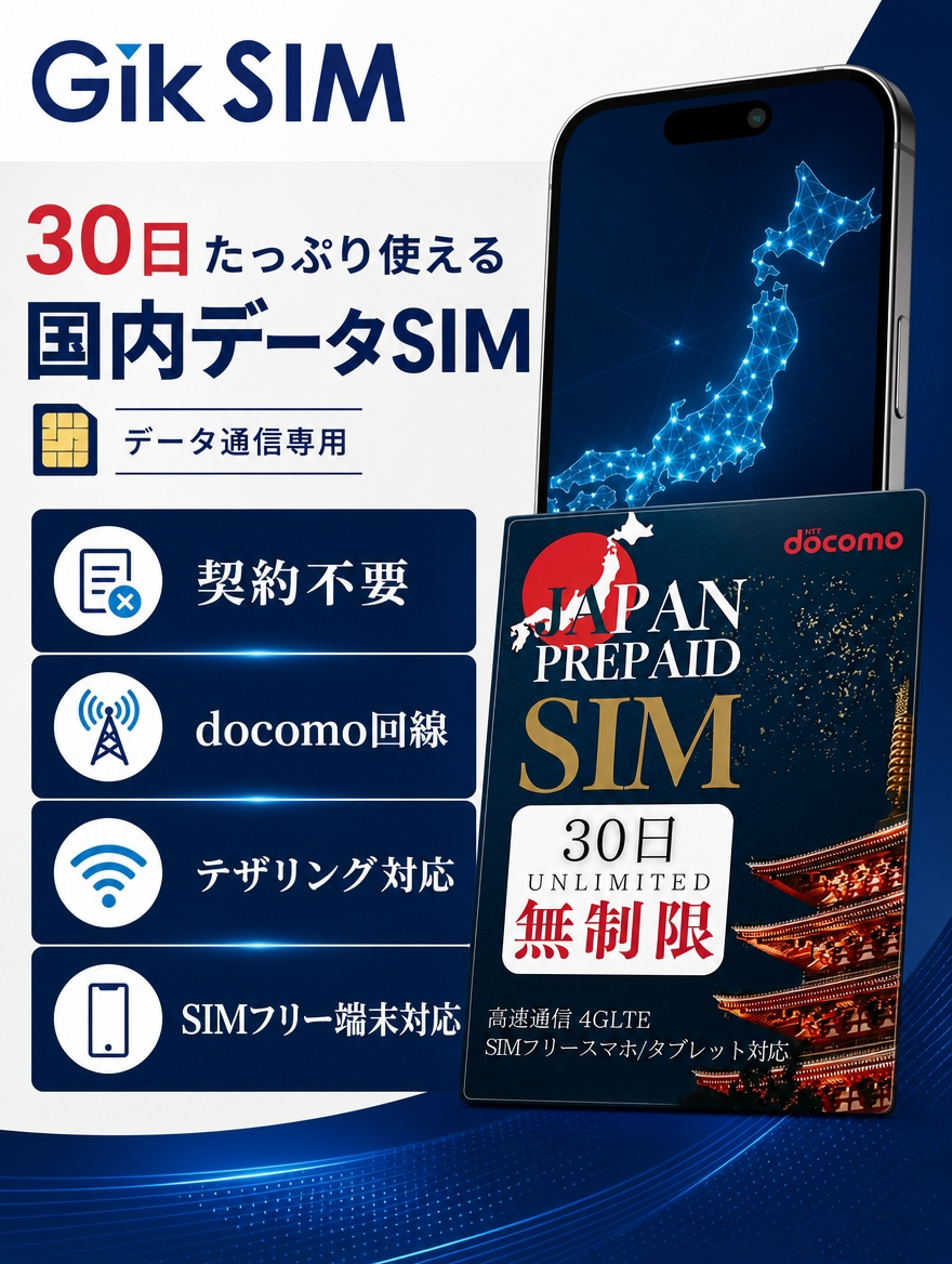 simカード SIM SIＭピン 説明書 案内