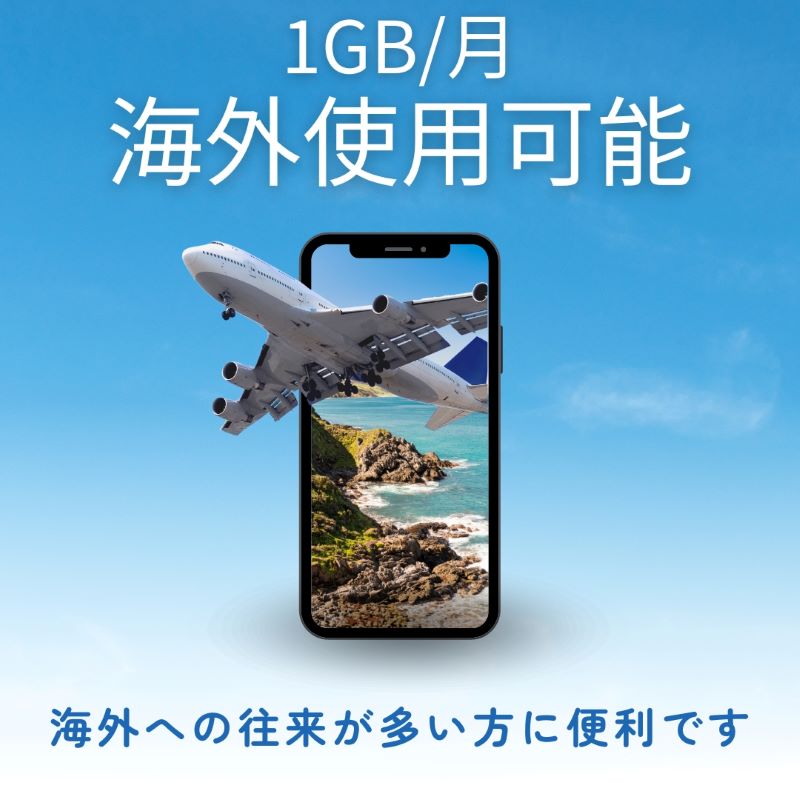 プリペイドsim 海外 楽天モバイル モバイル 海外利用 旅行 海外旅行 現地 通信環境