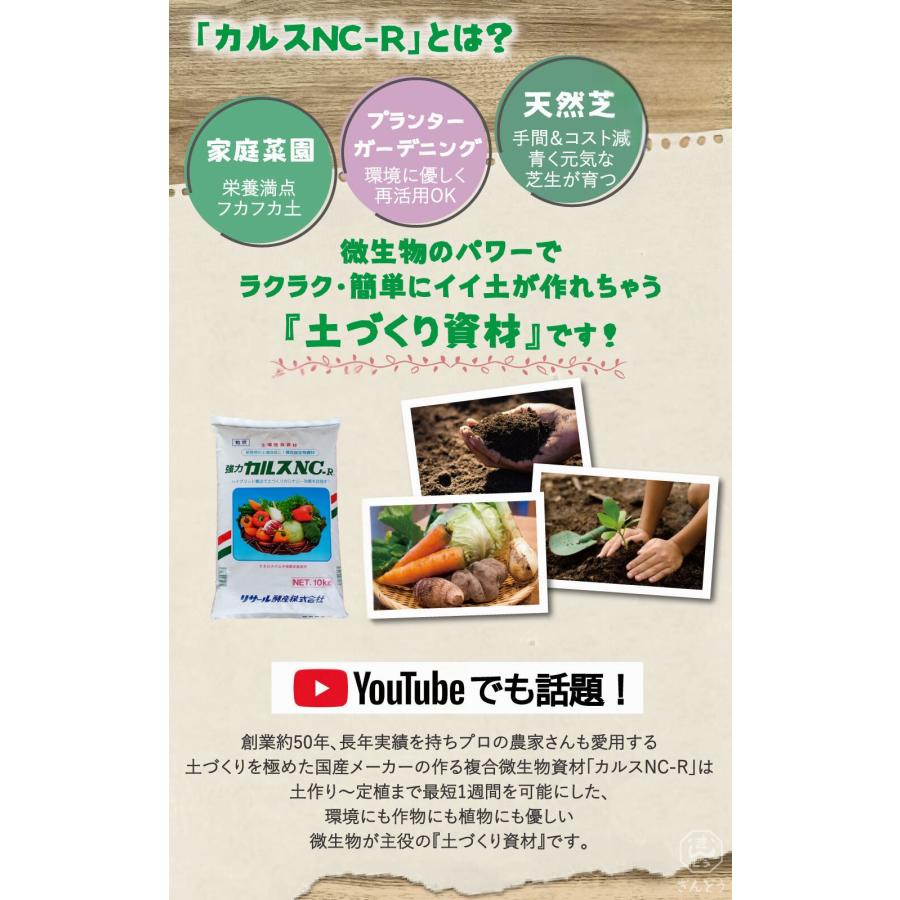 カルスNC-R 10kg（粒状）微生物資材 土壌改良剤 ガーデニング 芝生