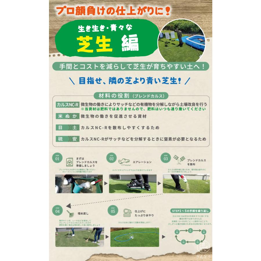 カルスNC-R 10kg粒状　2袋セット 土壌改良資材 カルス NC-R 10kg入り 複合微生物資材 : 芝生のことなら