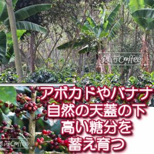 大自然