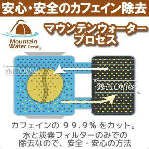 「マウンテンウォータープロセス」の紹介