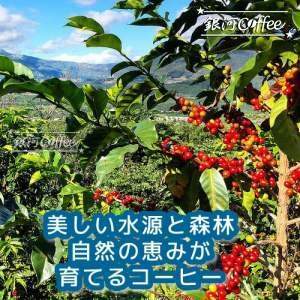アンティグアの自然環境