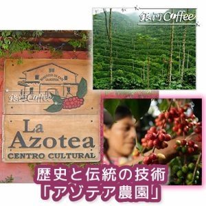 アゾテア農園