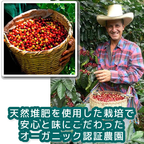 オーガニック栽培