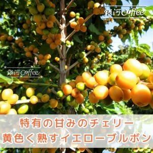 イエローブルボン