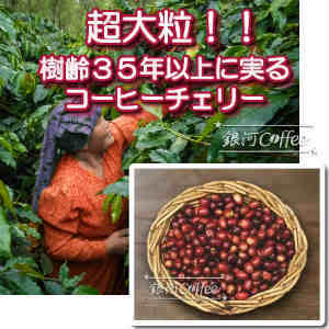 大粒マンデリン