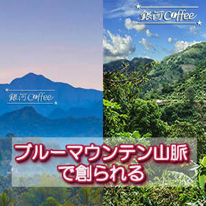 ブルーマウンテン　山脈