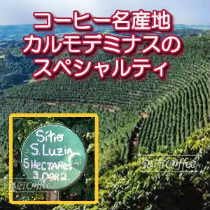 アマレロ　栽培環境