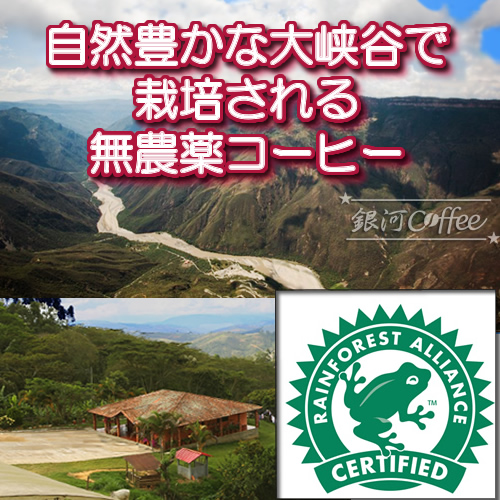 オーガニック