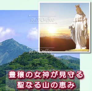 セイントマウンテン 聖なる木