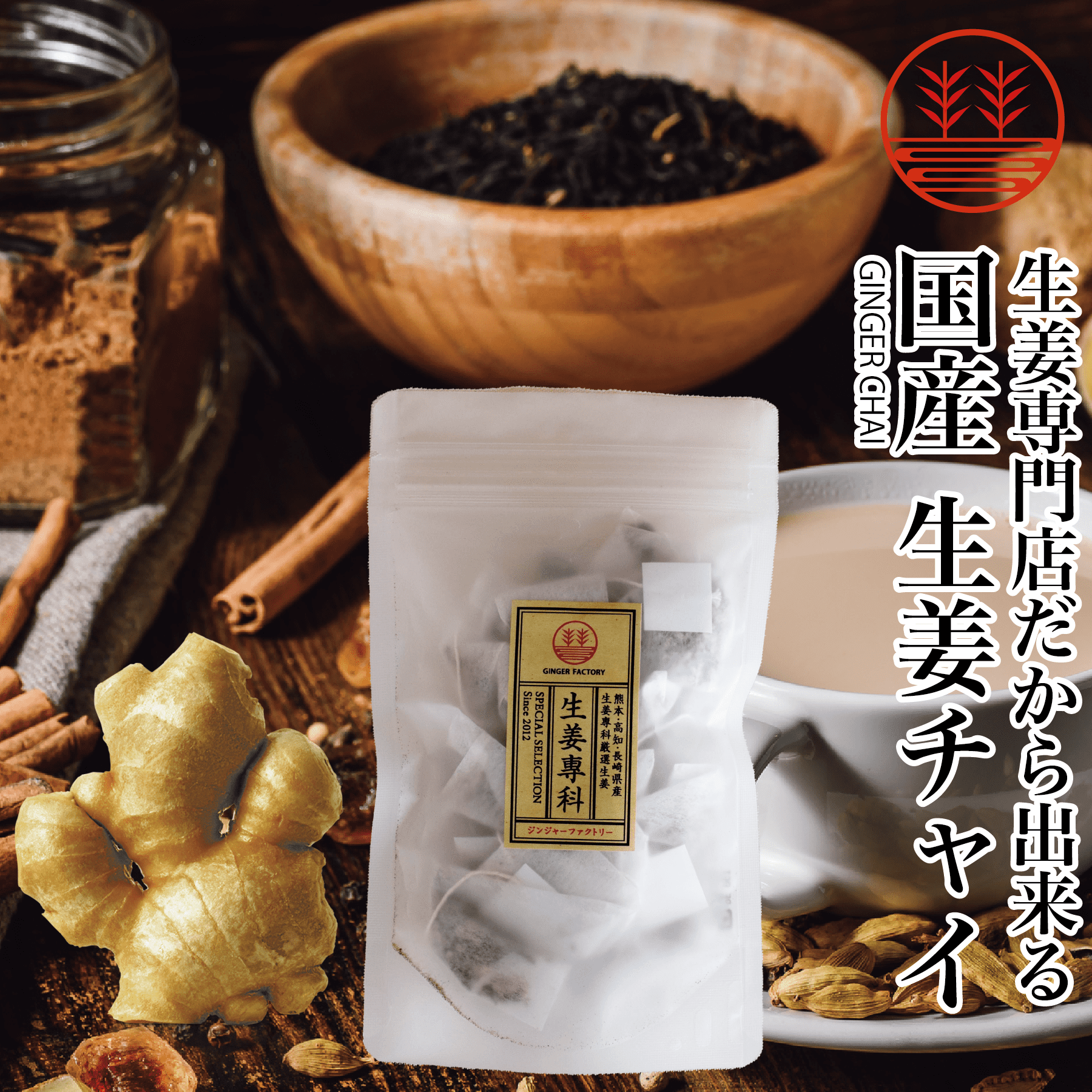 生姜紅茶 チャイ ティーバッグ 10包入り メール便 国産 生姜 しょうが