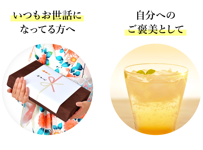 ジンジャーエールセット04