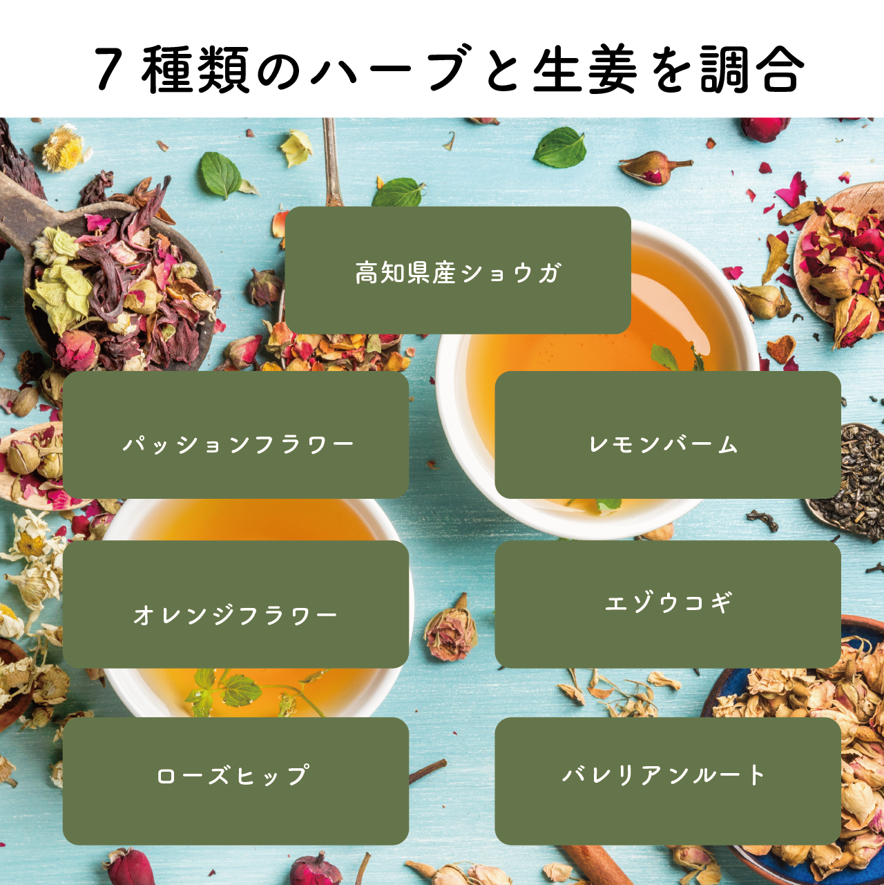 “生姜紅茶5"